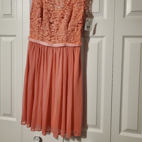 David's Bridal Lace Dress - Parfait, Size 10 - Picture 3 of 6